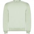 Clasica Sweatshirt mit Rundhalsausschnitt Unisex, Nebelgrün