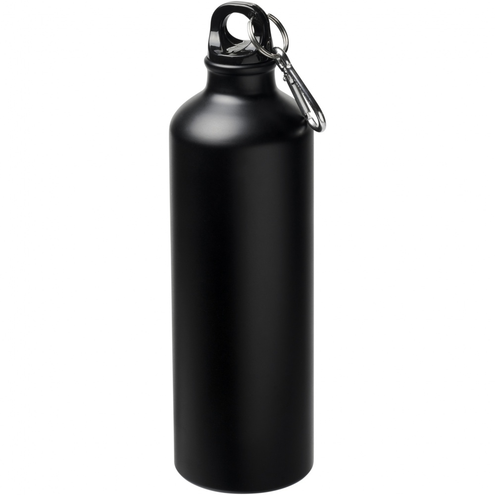 Logotrade promotional product picture of: Oregon 770 ml matte water bottle with carabiner