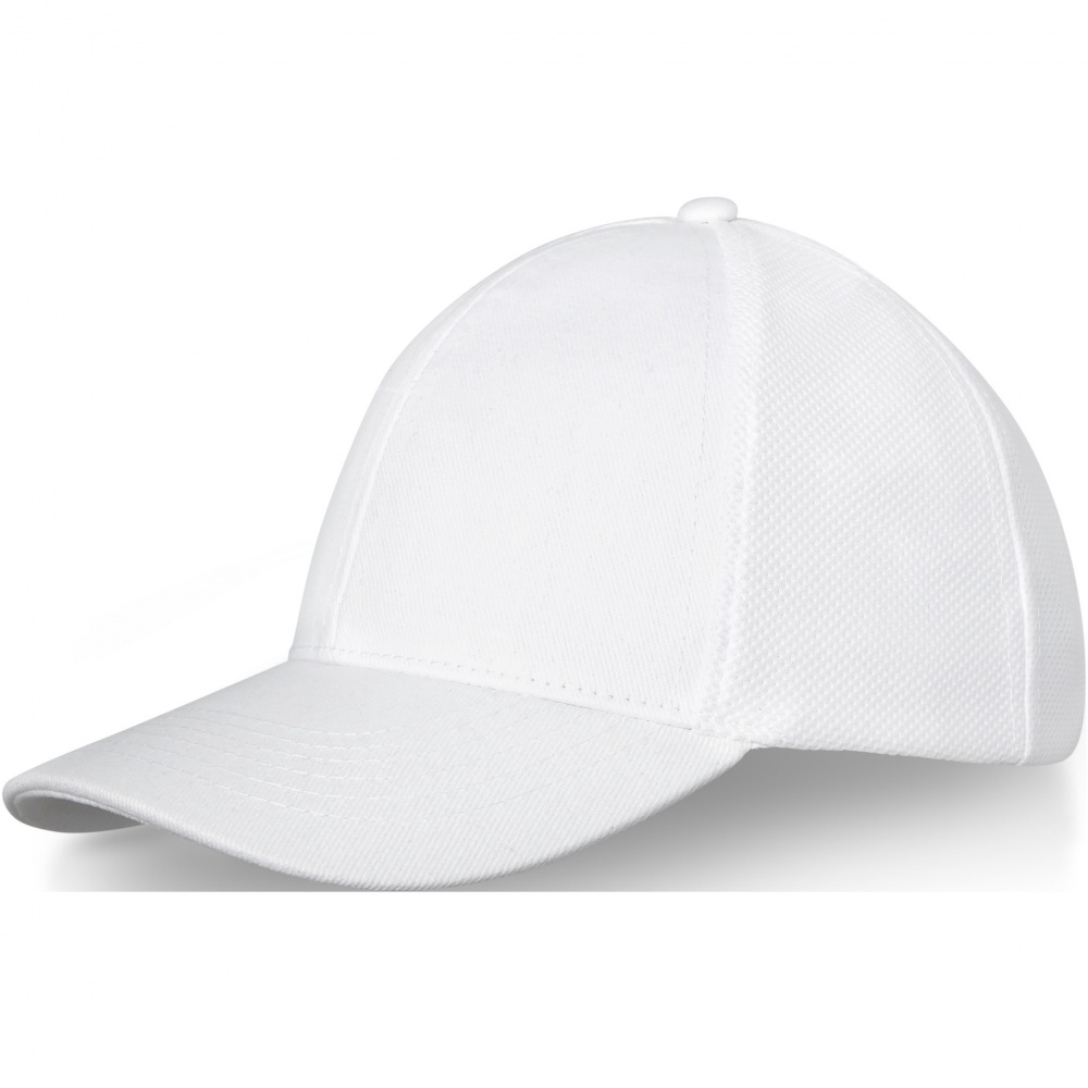 Logo trade promotional product photo of: Drake 6 panel trucker cap