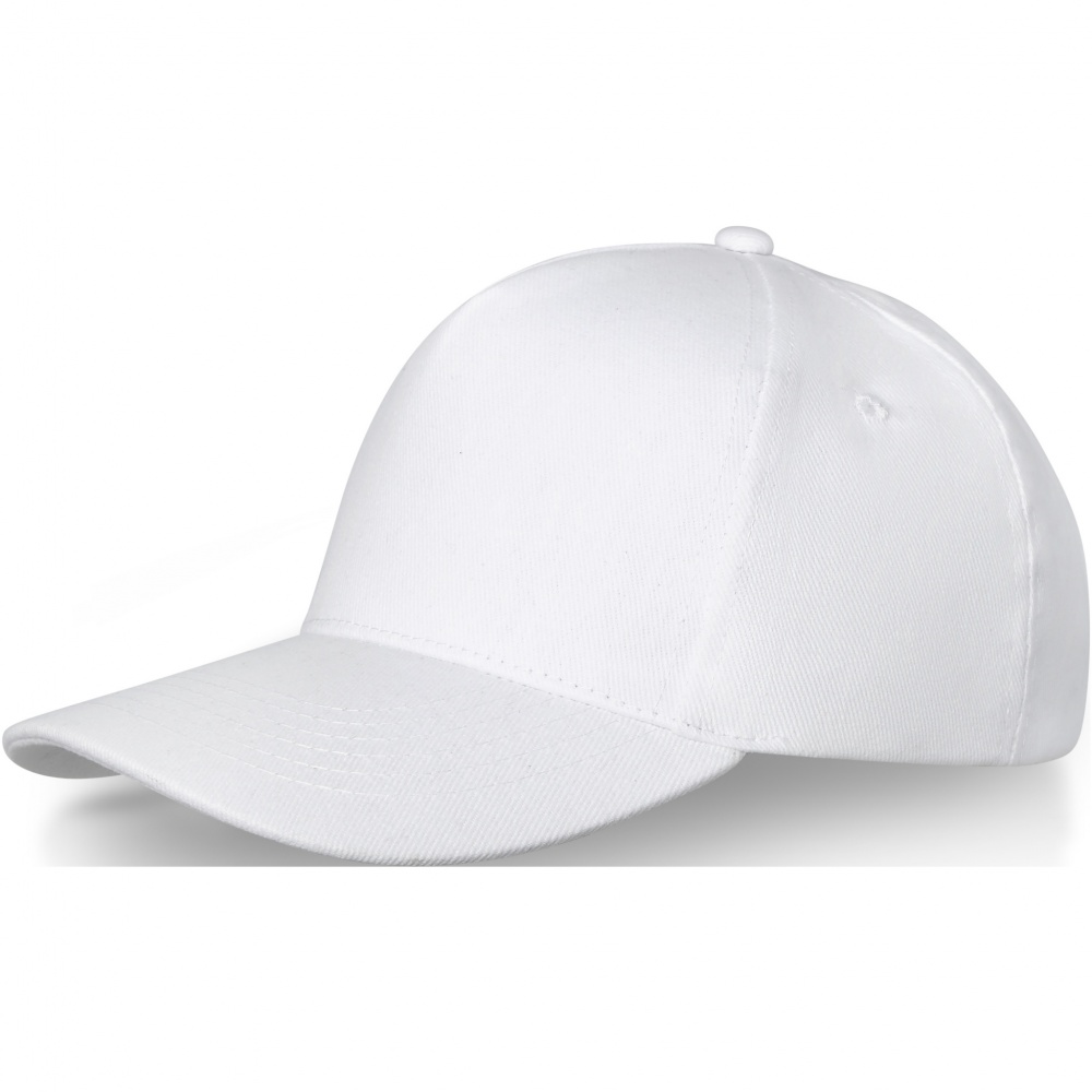Logo trade promotional merchandise picture of: Doyle 5 panel cap