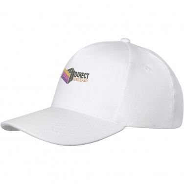 Logotrade promotional giveaways photo of: Doyle 5 panel cap