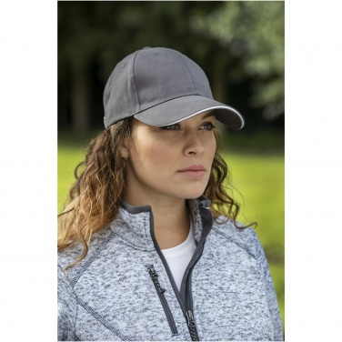 Logotrade promotional merchandise photo of: Darton 6 panel sandwich cap
