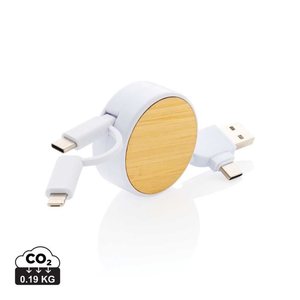 Logotrade promotional merchandise photo of: RCS recycled plastic Ontario 6-in-1 retractable cable