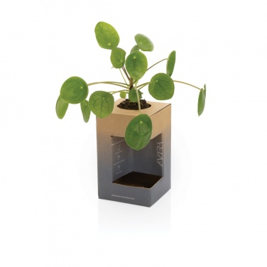 Logo trade promotional product photo of: Avira Alya RCS Re-steel tumbler 300 ml