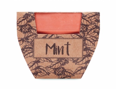 Logo trade promotional product photo of: Terracotta pot mint seeds