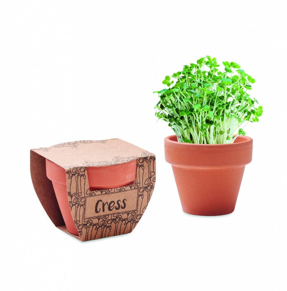 Logo trade promotional merchandise image of: Terracotta pot cress seeds
