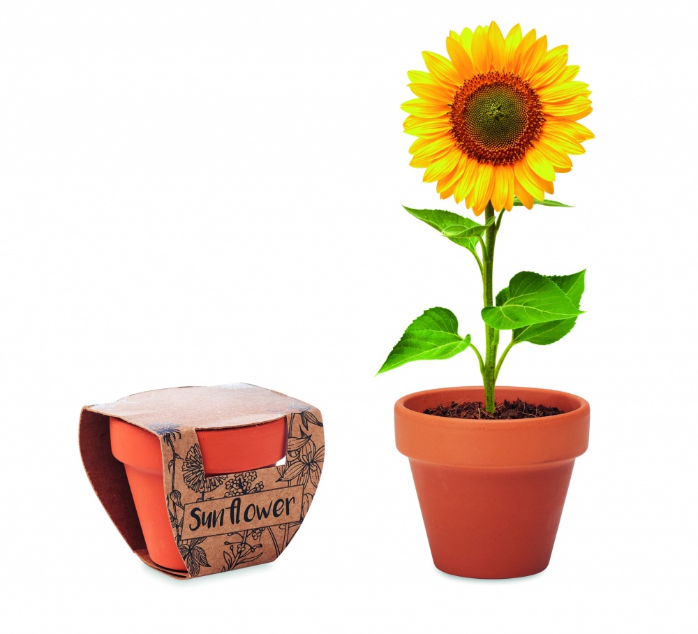Logotrade promotional gift picture of: Terracotta pot 'sunflower'