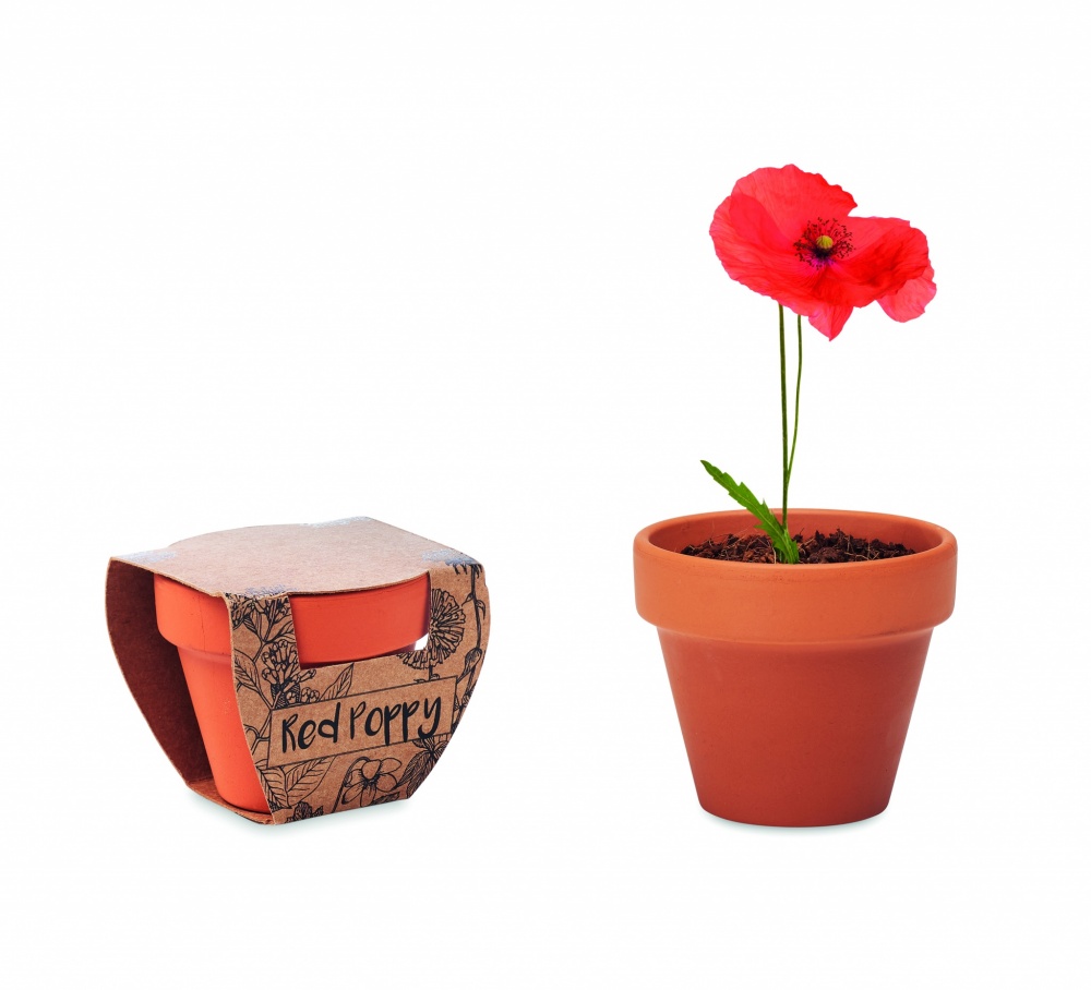 Logotrade business gifts photo of: Terracotta pot 'poppy'