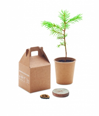 Logotrade promotional item picture of: Pine tree set