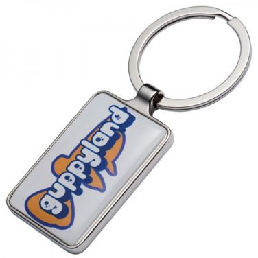 Logo trade corporate gifts image of: Keyring FLINT