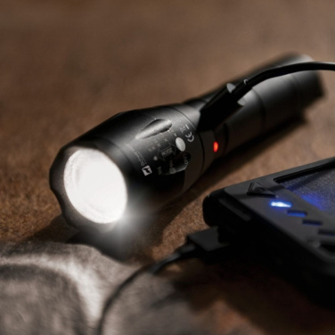 Logo trade corporate gifts picture of: Flashlight DELGADA Schwarzwolf