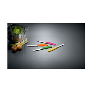 Logotrade corporate gift picture of: Victorinox Swiss Classic table knife