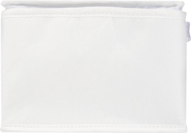 Logotrade promotional merchandise photo of: Spectrum 6-can recycled non-woven cooler bag 4L
