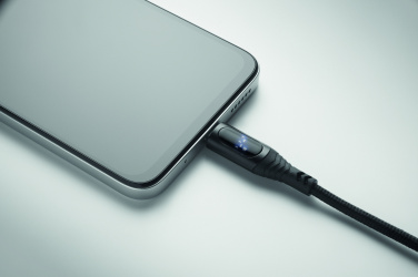 Logotrade corporate gift picture of: 100W charging cable type-C