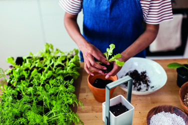 Logotrade promotional items photo of: Indoor garden with LED light