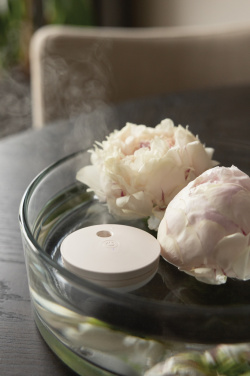 Logo trade corporate gift photo of: Breevia RCS rplasic re-chargeable floating humidifier