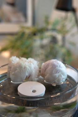 Logo trade promotional item photo of: Breevia RCS rplasic re-chargeable floating humidifier