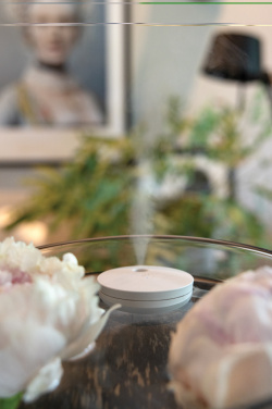 Logo trade promotional items image of: Breevia RCS rplasic re-chargeable floating humidifier