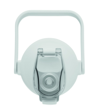 Logotrade promotional merchandise photo of: RPET water bottle 2000ml