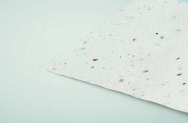 Logotrade promotional merchandise picture of: Wildflower seed business card.