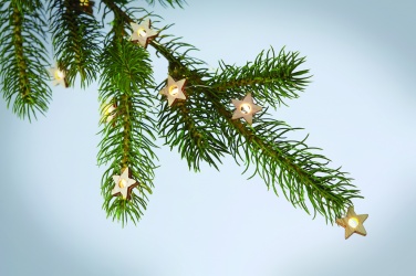 Logotrade ärikingid pilt: Nöör 20 tähetulega