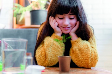 Logotrade meene foto: Männipuu komplekt