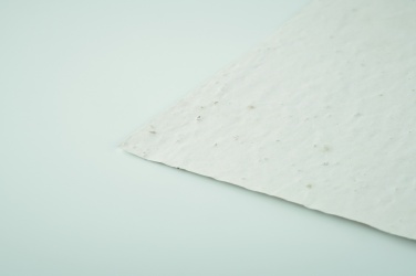 Logo trade meene pilt: A6 metsalilleseemne paberileht