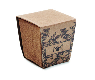 Logo trade ärikingitused foto: Mündiseemnete kasvatamise komplekt