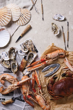 Logo trade meene pilt: VINGA "Story of Seafood" mereannikomplekt