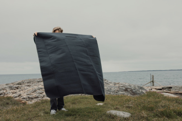 Logotrade ärikingi foto: VINGA Baltimore RCS piknikutekk